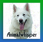 Logo Animalwhisper.ch